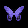 An Avatar Image