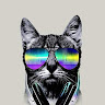 An Avatar Image