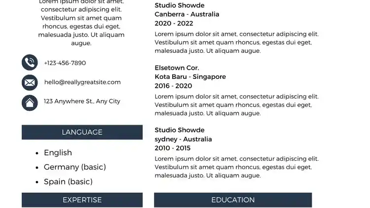 تصميم ال cv بشكل احترافي 